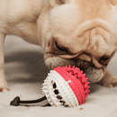 PupHappy – Hundespielseil