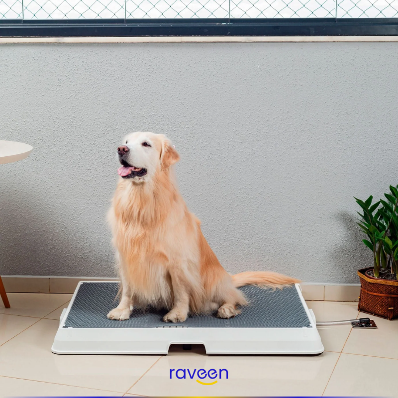 Intelligente Haustiertoilette