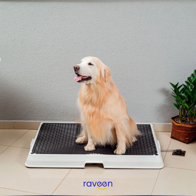 Intelligente Haustiertoilette