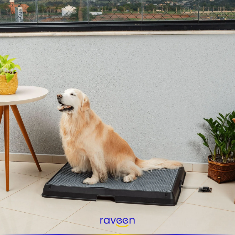 Intelligente Haustiertoilette