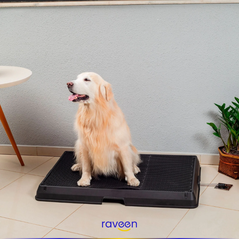 Intelligente Haustiertoilette