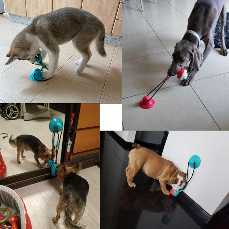 PupHappy – Hundespielseil