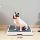 Intelligente Haustiertoilette