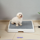 Intelligente Haustiertoilette