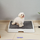 Intelligente Haustiertoilette