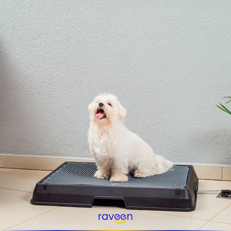 Intelligente Haustiertoilette