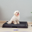 Intelligente Haustiertoilette