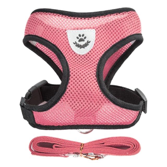 StreetPet™ – Verstellbares Halsband für Hunde & Katzen